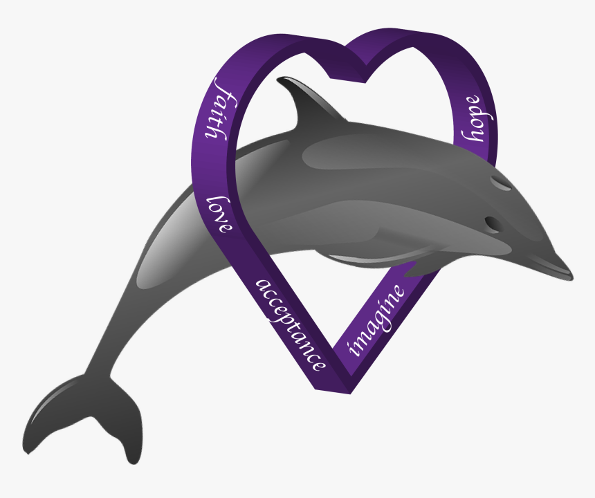 Dds Vs Png Dolphin - Short-beaked Common Dolphin, Transparent Png