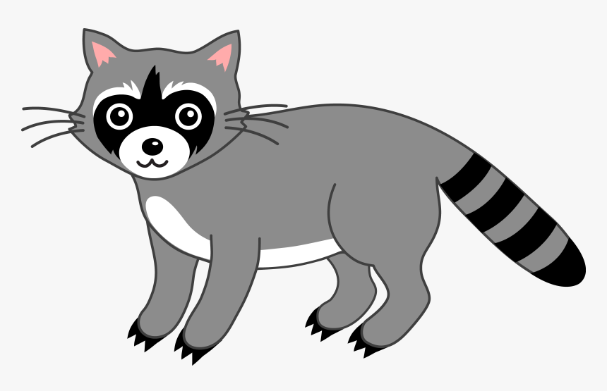 Crab-eating Raccoon Giant Panda Clip Art - Racoon Clipart, HD Png Download