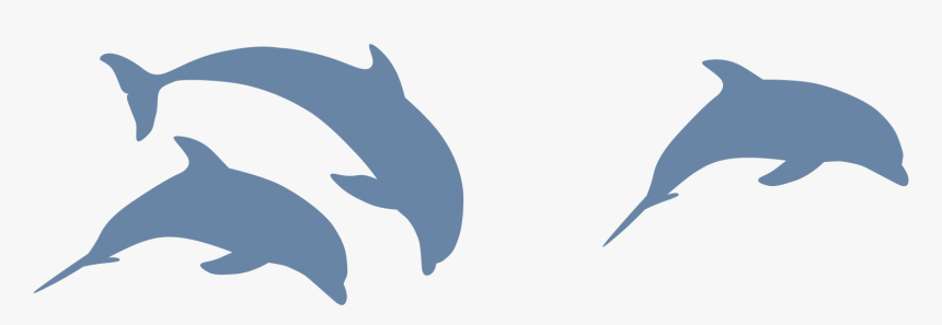 Dolphin Silhouette Png Download - Silhouette, Transparent Png