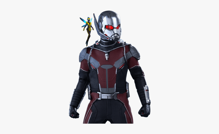 Transparent Antman Logo Png - Png Ant Man And The Wasp, Png Download