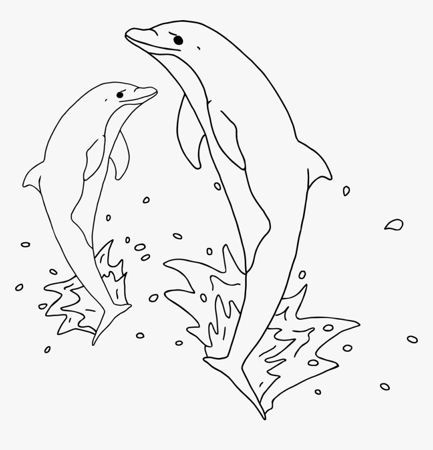 Jumping Dolphins Outline - Jumping Dolphin Clipart Black And White, HD Png Download