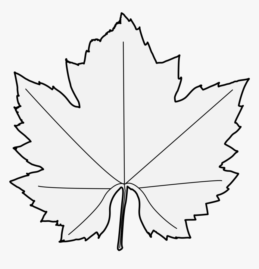 Maple Leaf, HD Png Download