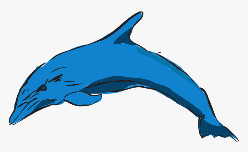 Dolphin, HD Png Download