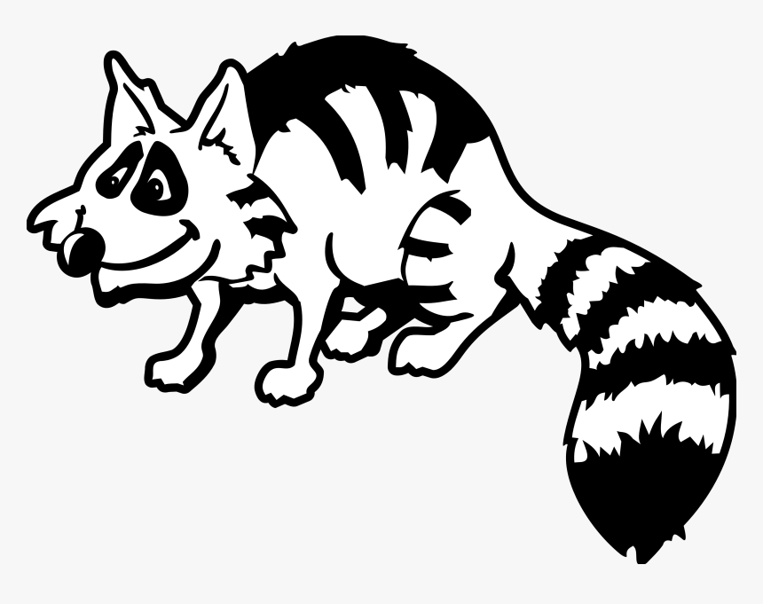 Raccoon Black And White Images Free Download Clipart - Raccoon Clipart Black And White, HD Png Download