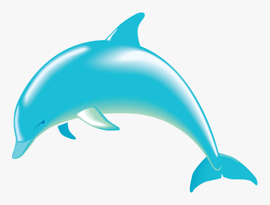 Collection Of Free - Dolphin Clipart, HD Png Download