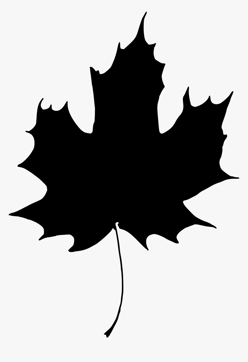 Leaf Silhouette Transparent Background, HD Png Download