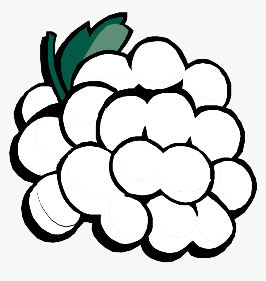 Grapes Clipart, HD Png Download