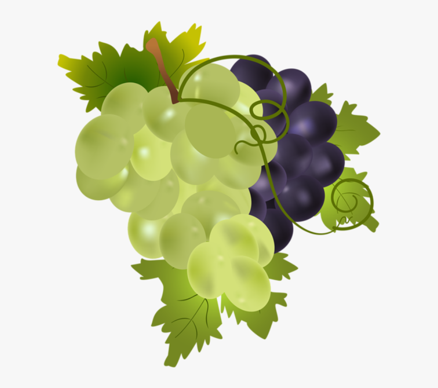 Png Grapes Clip Art, Transparent Png