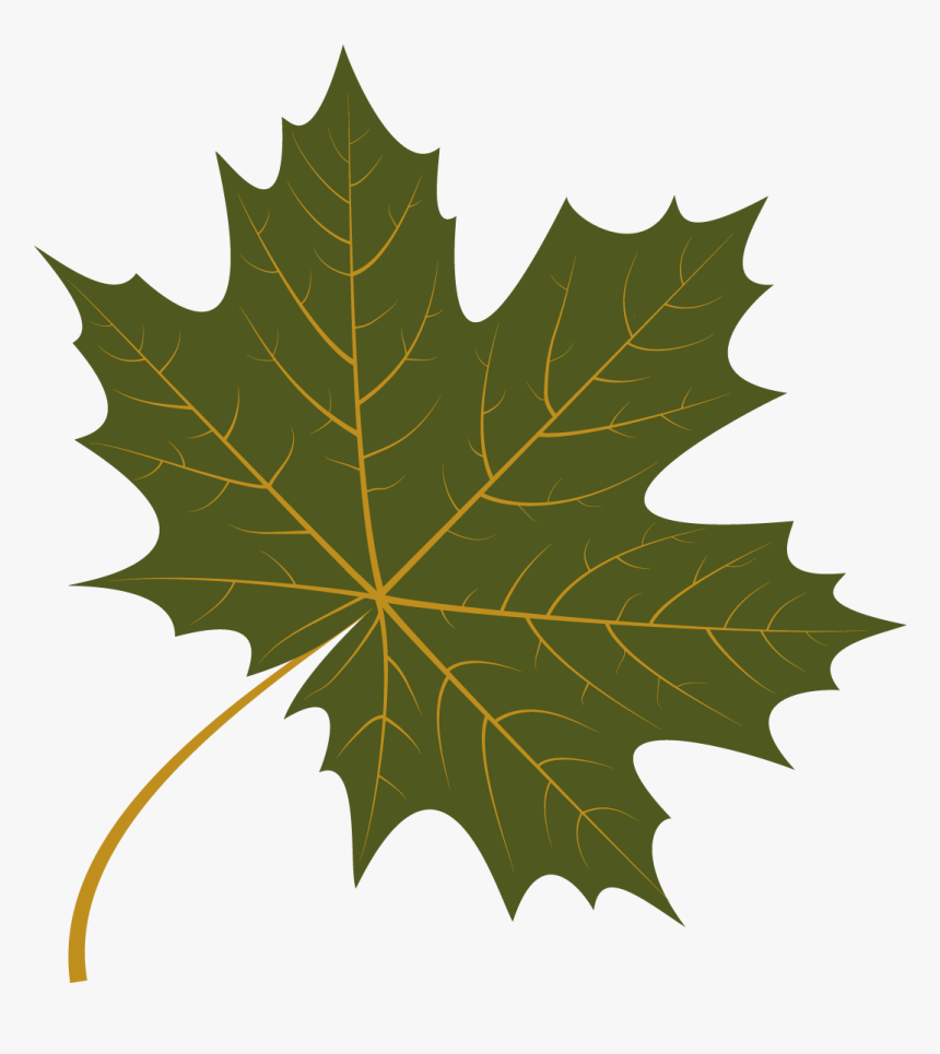 Autumn Leaf Free Vector, HD Png Download