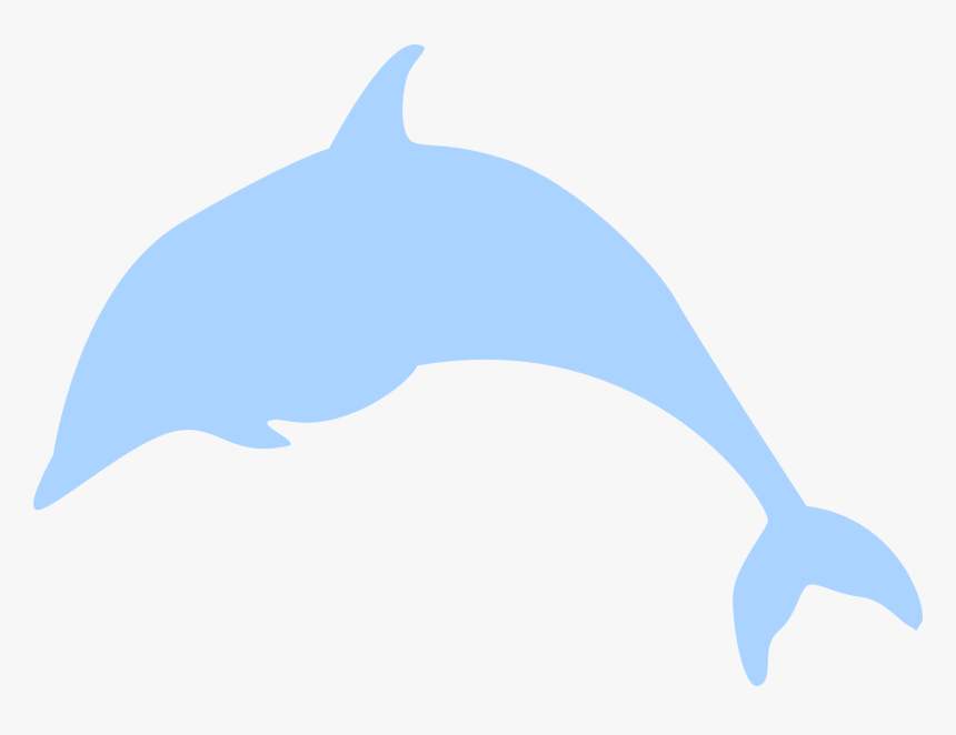 Dolphin, HD Png Download