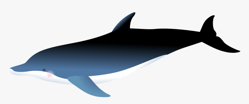 Fishes Png, Transparent Png