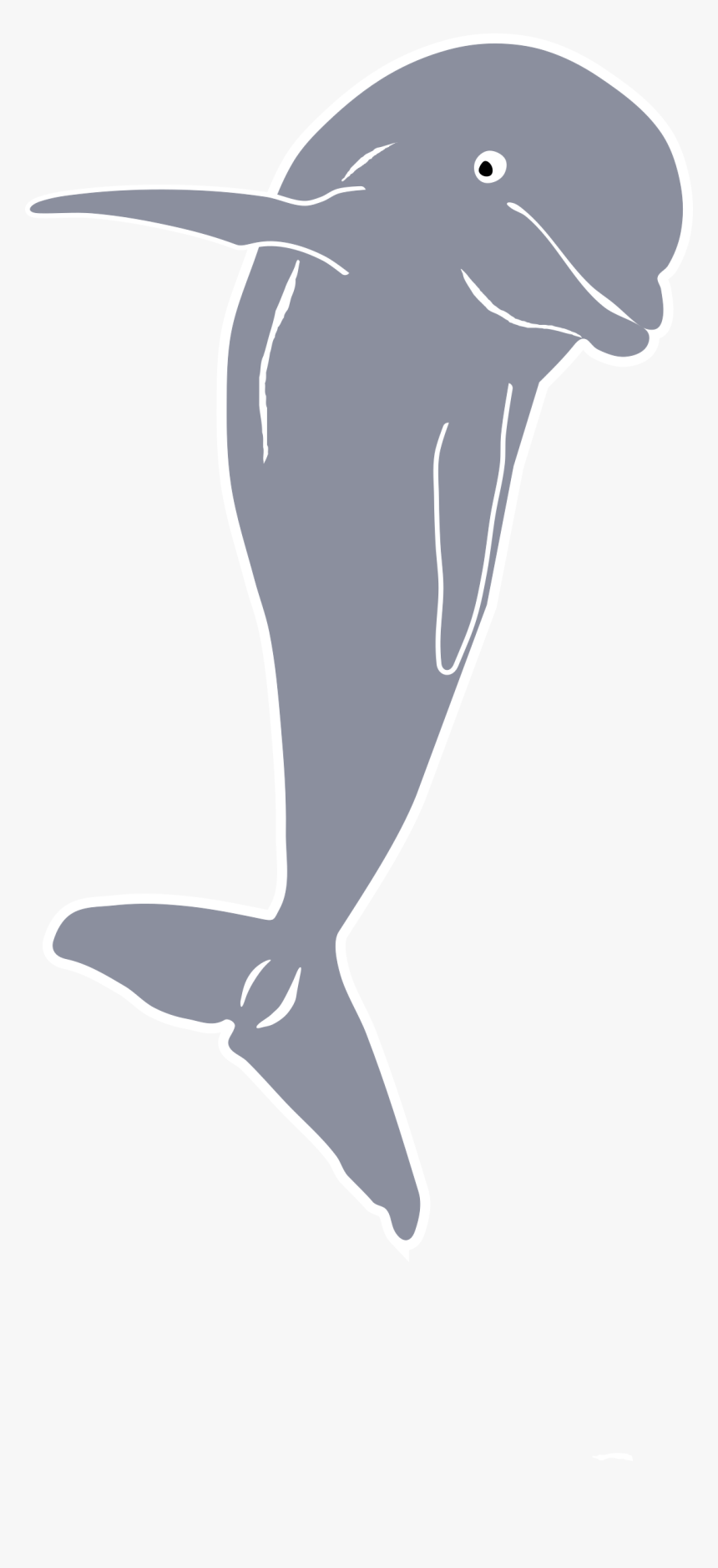Dolphin Jumping, Front Clip Arts - Transparent Beluga Whale Outline, HD Png Download