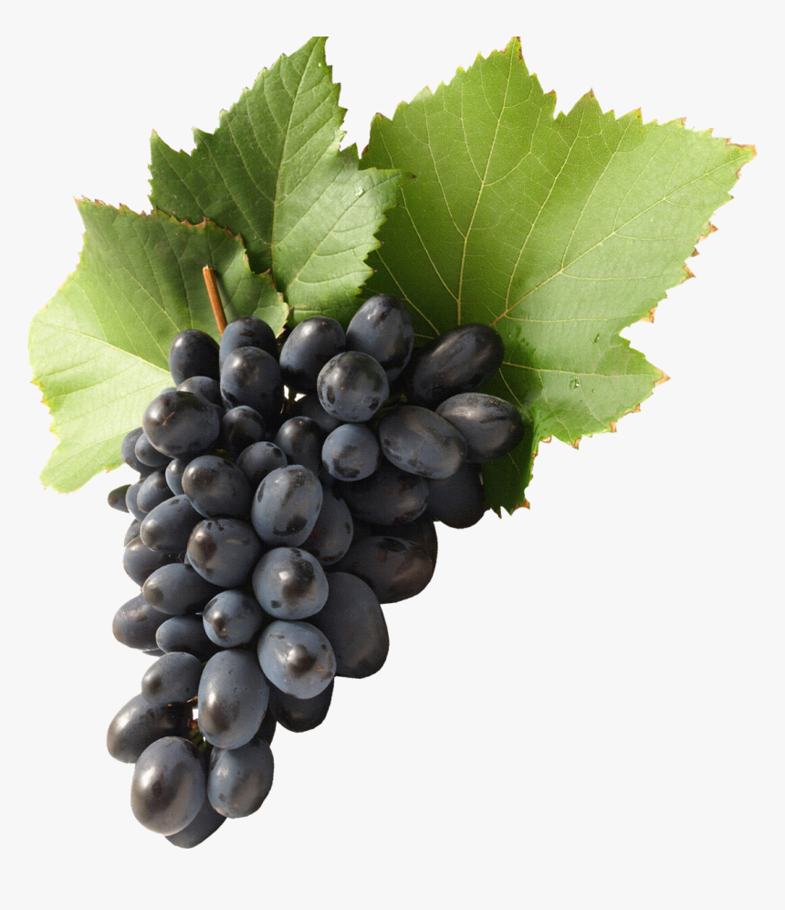 Black Grapes Png Background, Transparent Png
