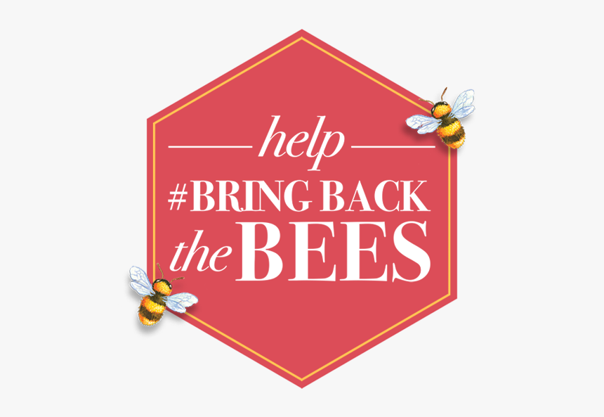 Rameyen Castle, HD Png Download