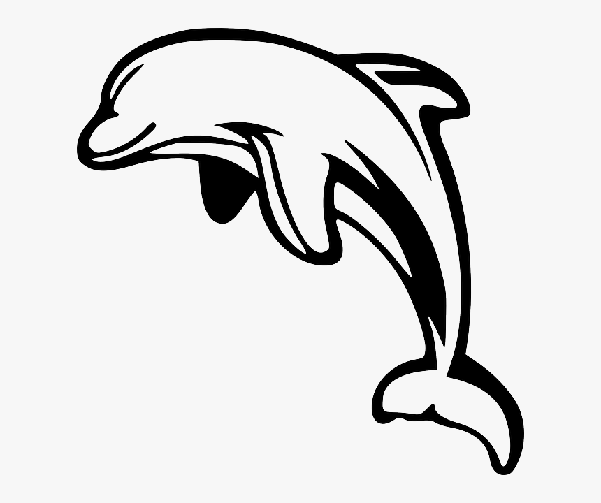 Dolphin Clipart Black And White, HD Png Download