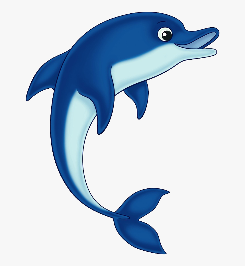 Png Download , Png Download - Free Clip Art Dolphin, Transparent Png