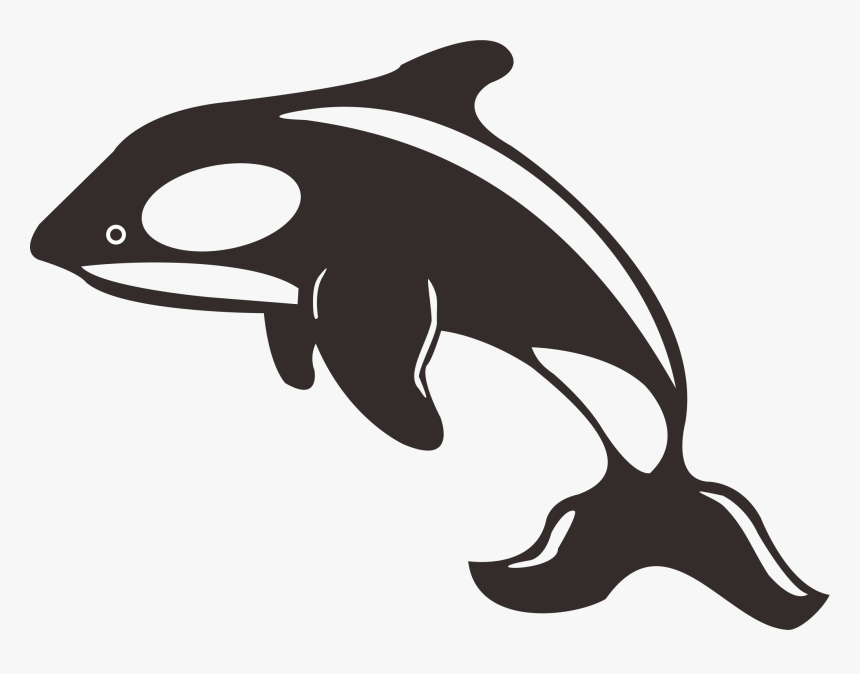 Clip Art Killer Whale Toothed - Whale And Dolphin Silhouette, HD Png Download