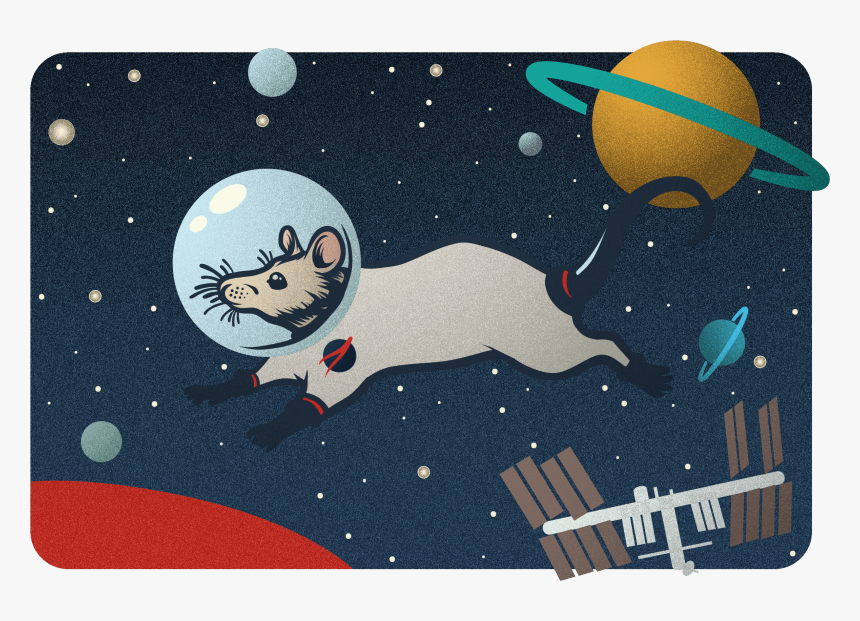 Illustration, HD Png Download