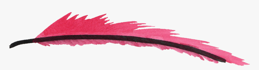 Watercolor Feathers Transparent Background, HD Png Download