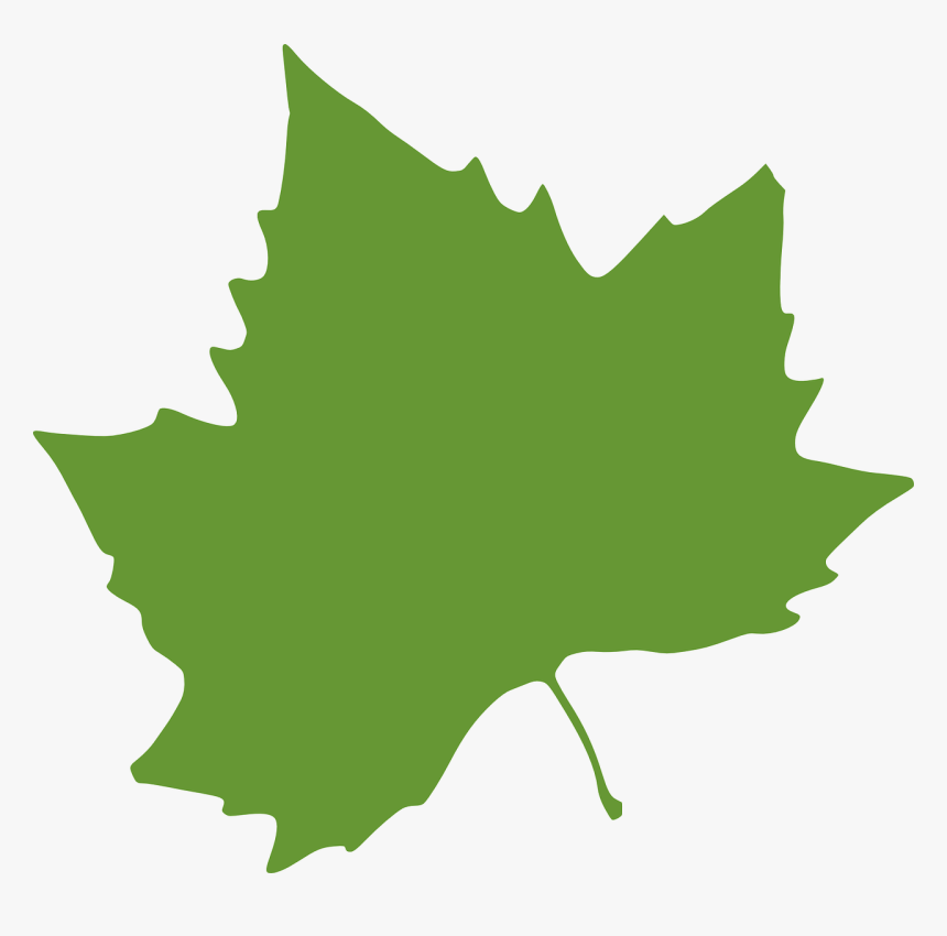 Autumn Leaves Clip Art, HD Png Download