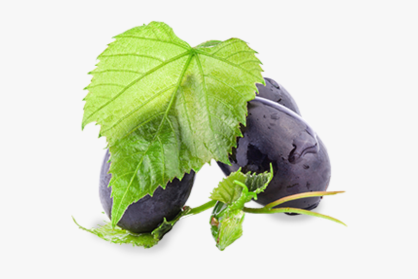 Grape Leaves, HD Png Download