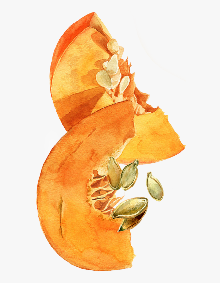 Butterfly, HD Png Download