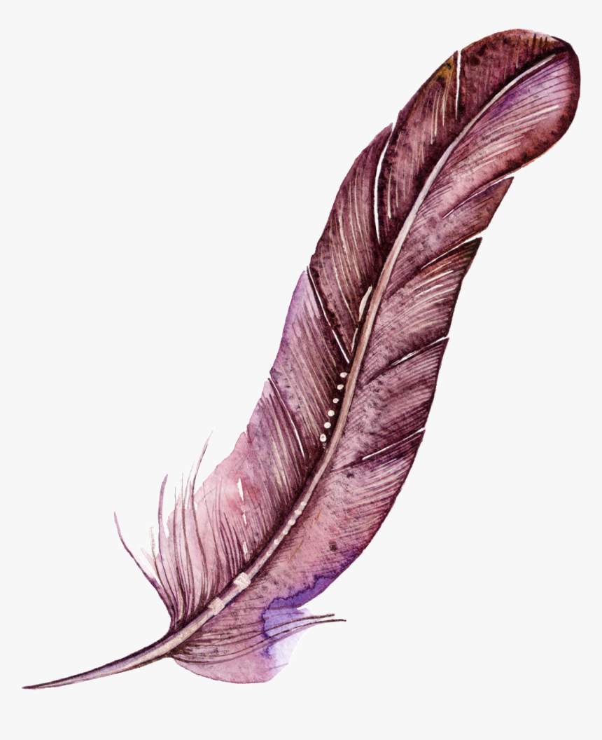 Dark Red Feather Cartoon Watercolor Beautiful Transparent - Watercolor Transparent Feather, HD Png Download