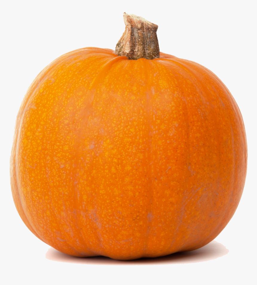 Jack O Lantern Pumpkin Calabaza Butternut Squash Cucurbita - Pumpkin Meaning In Punjabi, HD Png Download