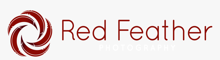 Feather, HD Png Download