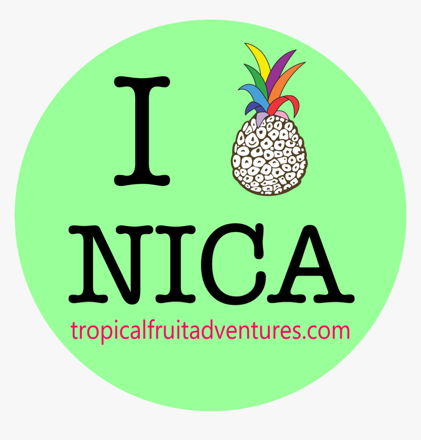 Usc School Of Cinematic Arts, HD Png Download