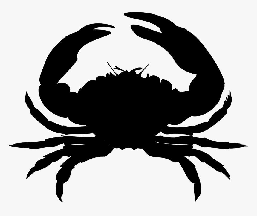 Crab Silhouette Clip Art - Transparent Background Crab Clipart, HD Png Download