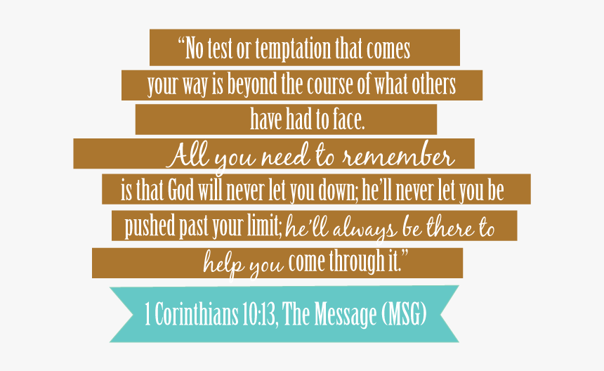 Raccoon Blog - 1 Corinthians 10 13 No Testing, HD Png Download