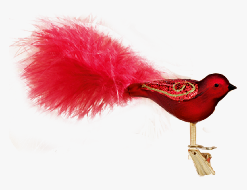 Songbird, HD Png Download