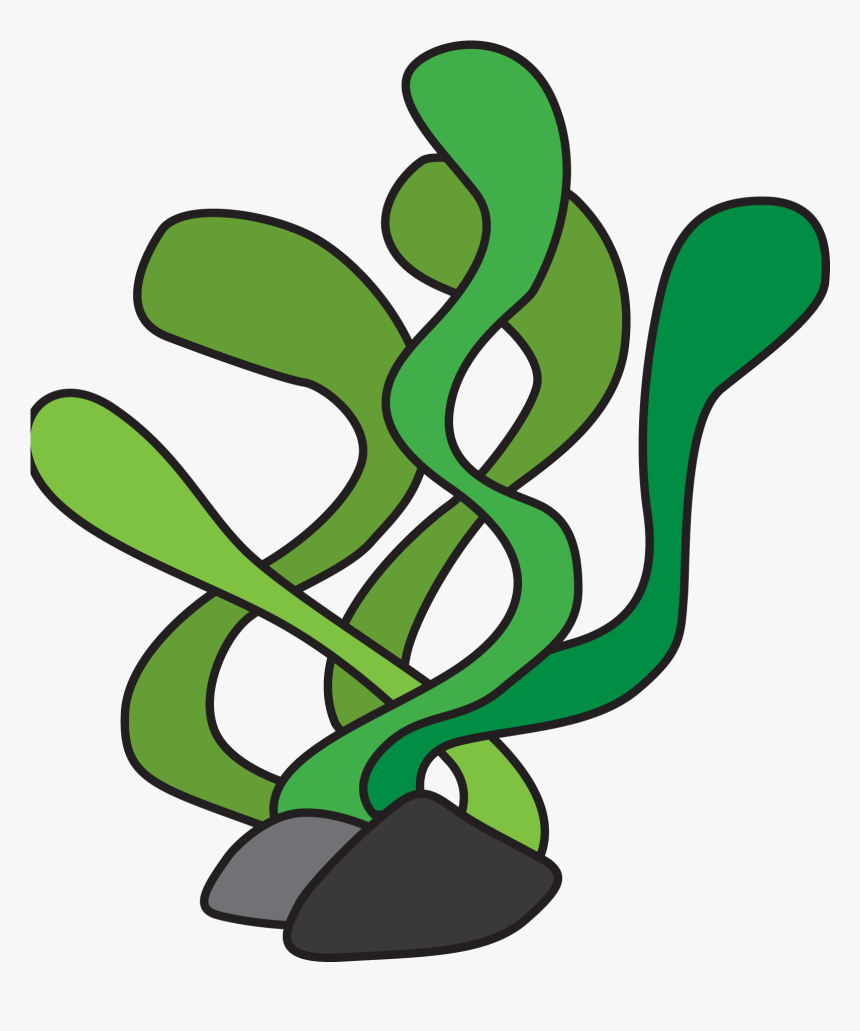 Thumb Image - Fish Tank Plants Clipart, HD Png Download