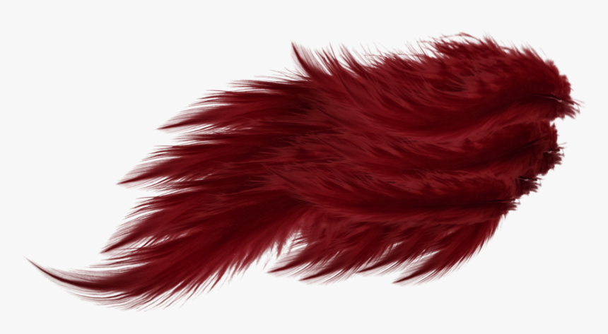 Red Feather Wing, HD Png Download