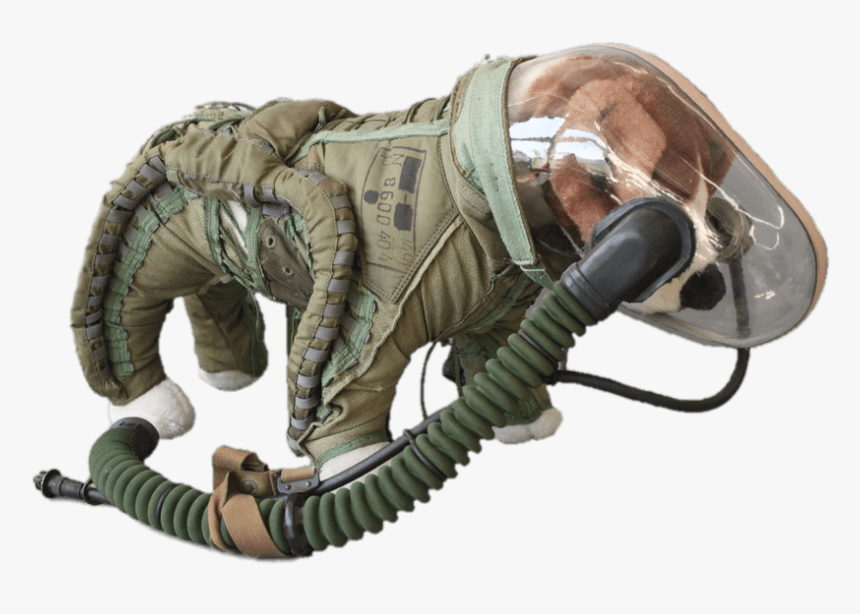 Space Suit For Dogs - Dog Space Suit, HD Png Download