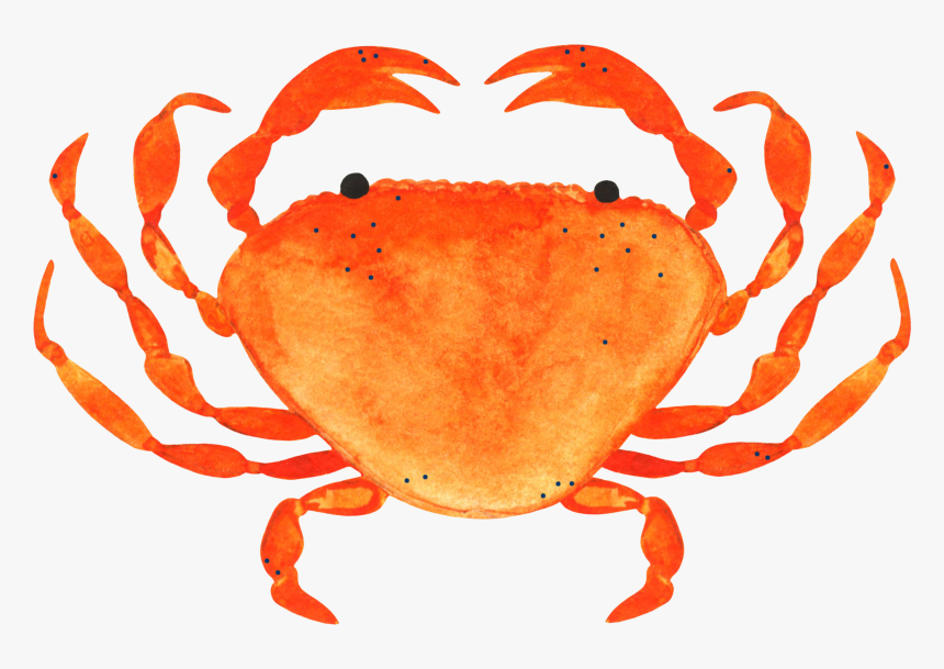 Freckled-crab, HD Png Download