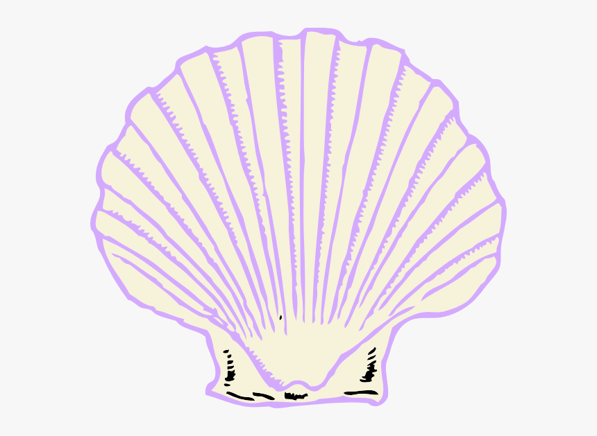 Purple Shell Clipart Png, Transparent Png