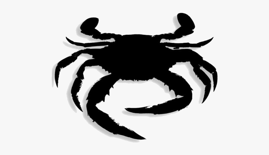 Crab Png Drawing - Freshwater Crab, Transparent Png