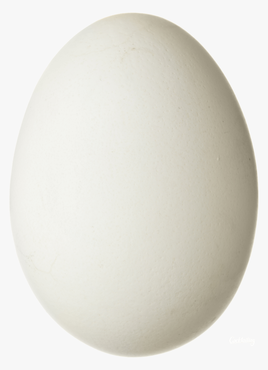 Eggs Png Image - Circle, Transparent Png