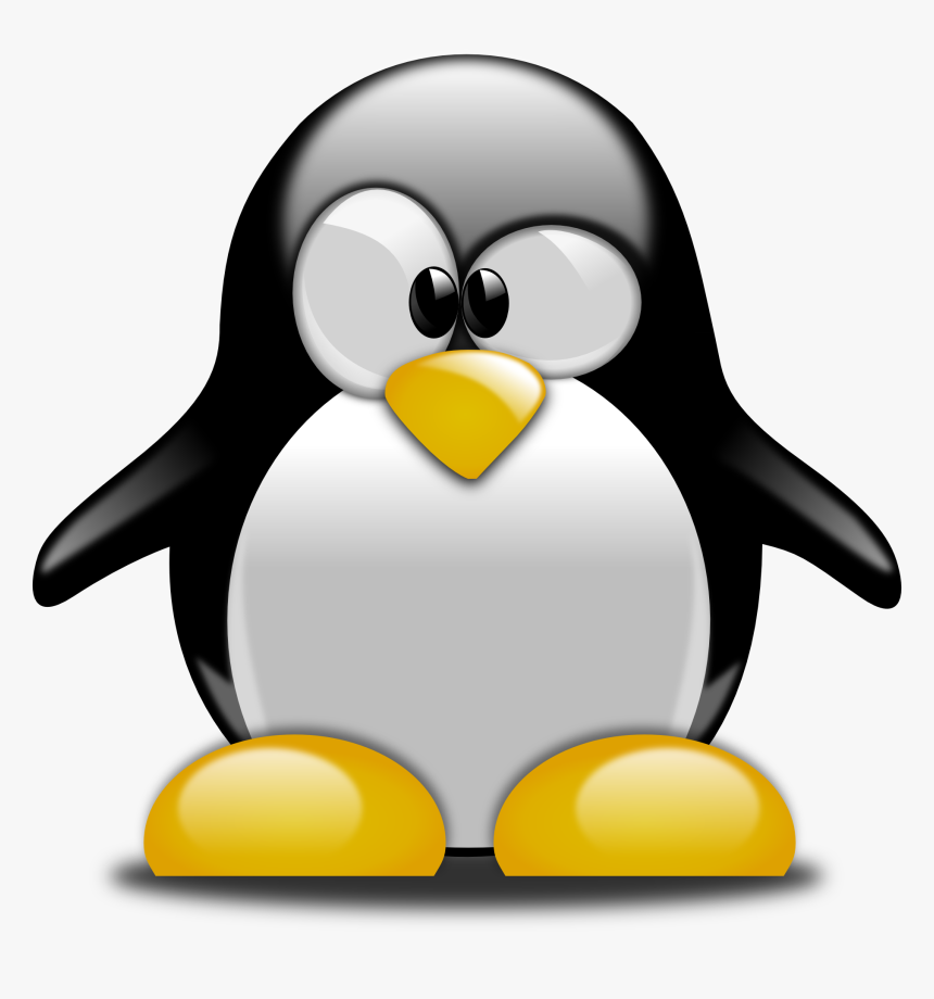 Cartoons For Kids, HD Png Download