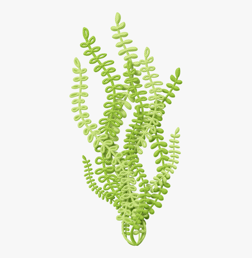 Under The Sea Transparent, HD Png Download
