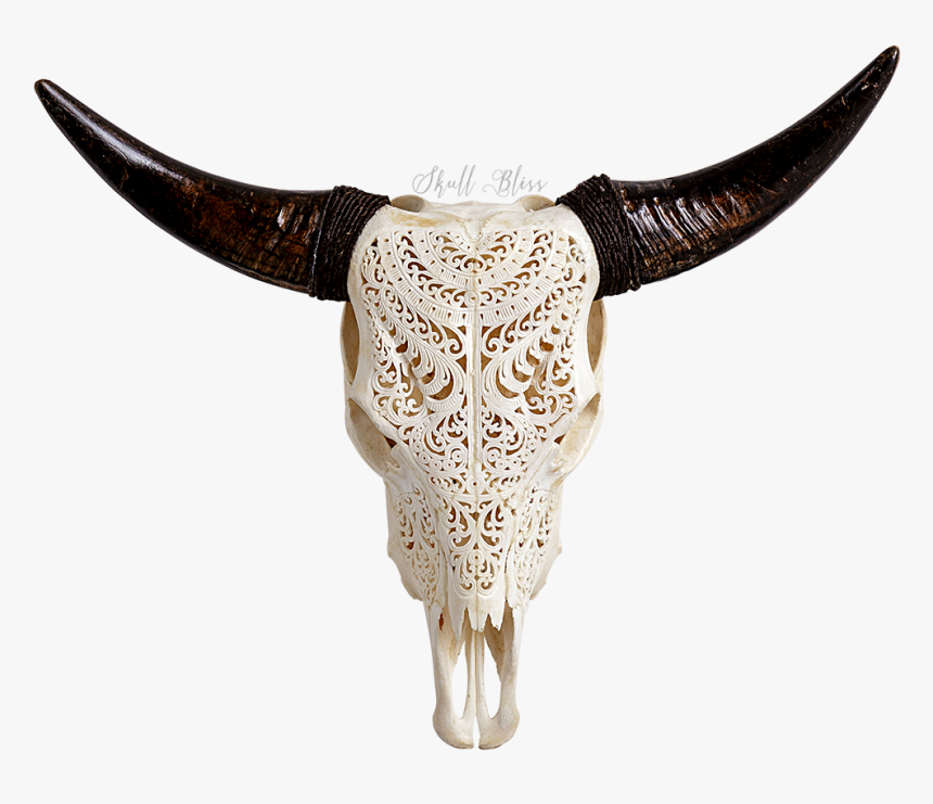 Bull Skull Png - Cow Skull Transparent Background, Png Download