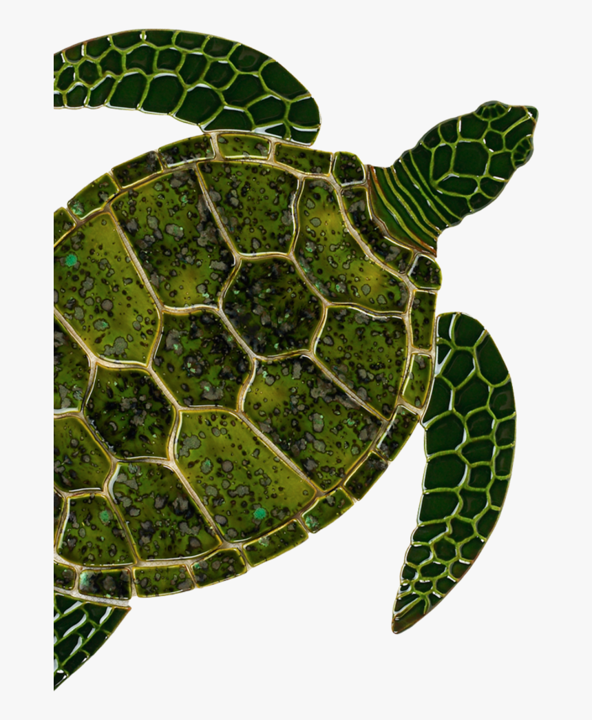 Sea Turtle Art Clipart Sea Turtle Tortoise - Sea Turtle Ceramics, HD Png Download