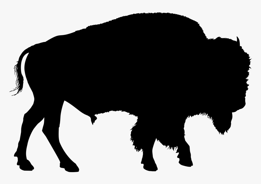 American Bison Drawing Clip Art - Buffalo Silhouette Clip Art, HD Png Download