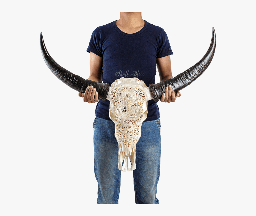 Carved Buffalo Skull - Skull Bliss, HD Png Download