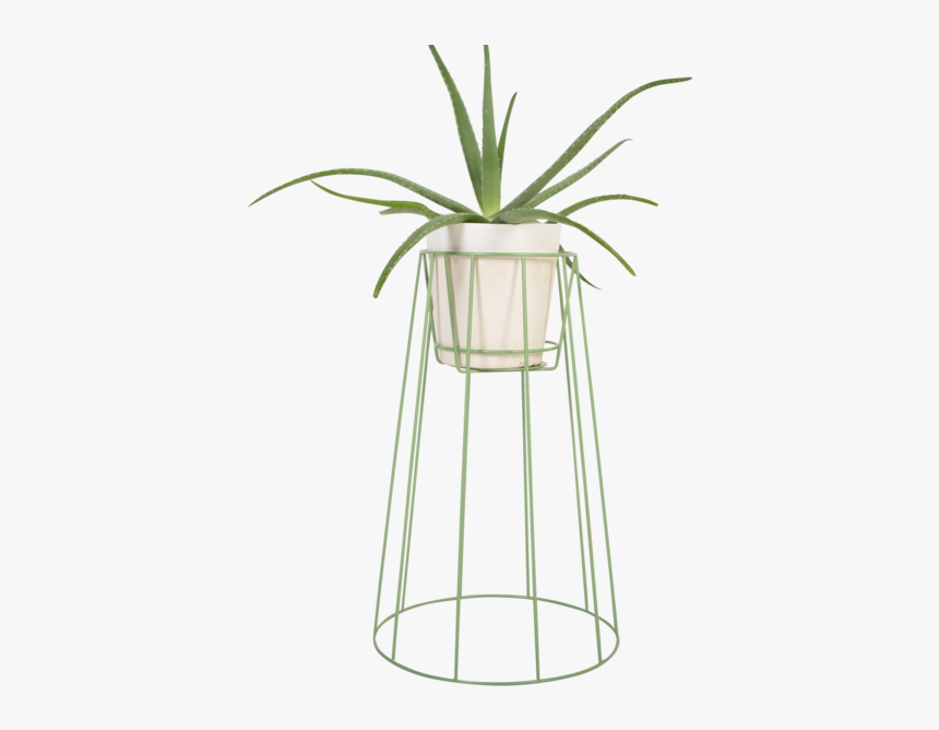 Large Sea Green - Houseplant, HD Png Download