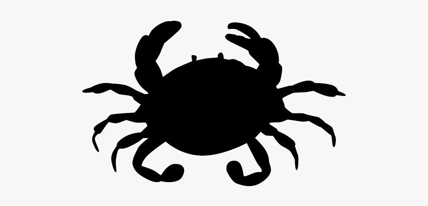 Cotton Crab Png Transparent Images - Freshwater Crab, Png Download