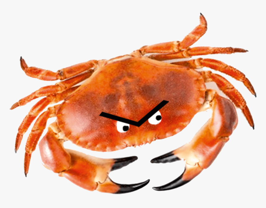 Cheer Up Love: Adventures In Depression With The Crab, HD Png Download