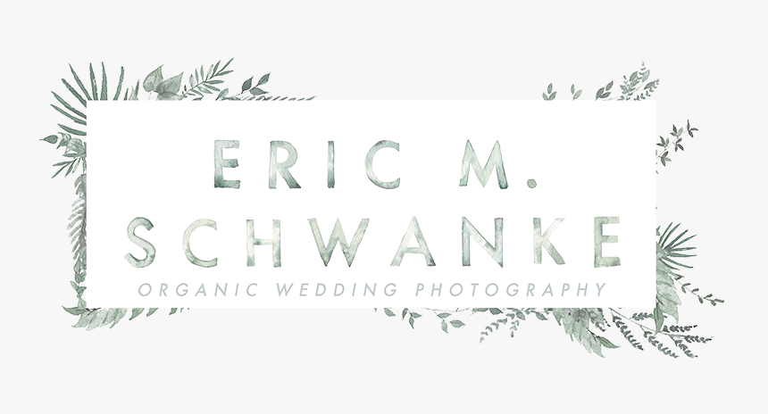 Green Bay Wedding Photographers - Palm Tree, HD Png Download